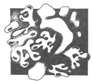 Ночная битва (сборник) i_059.jpg