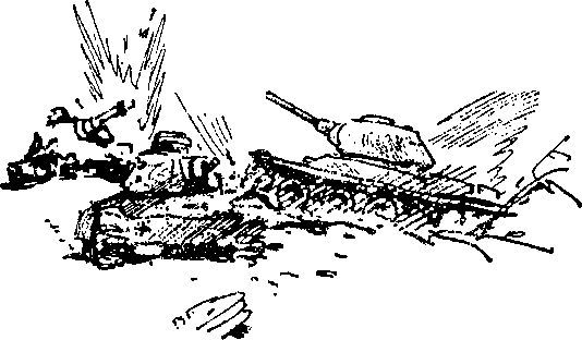 Укрощение «тигров» i_013.jpg
