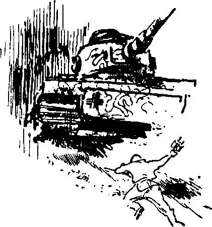 Укрощение «тигров» i_014.jpg