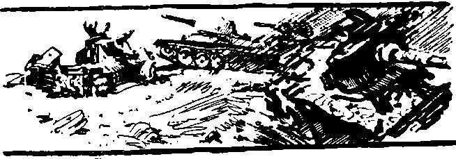 Укрощение «тигров» i_016.jpg