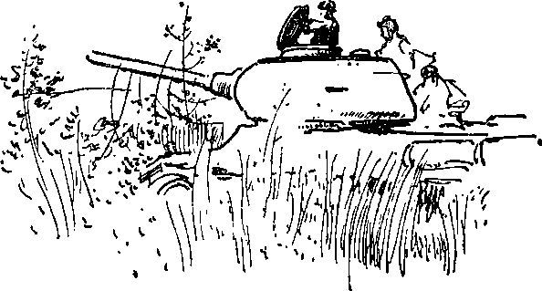 Укрощение «тигров» i_020.jpg
