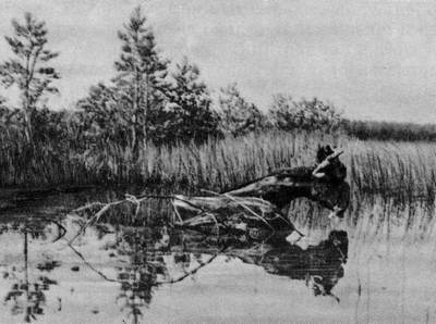 Под шапкой-невидимкой _077.jpg