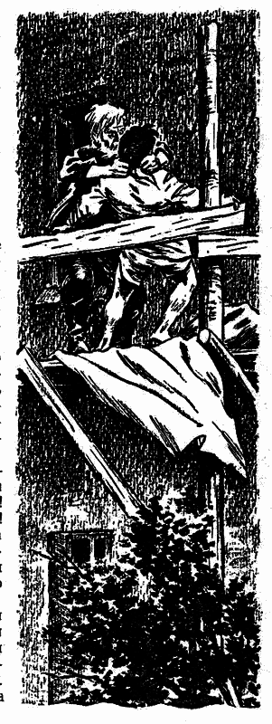 Серая скала ss_4.png