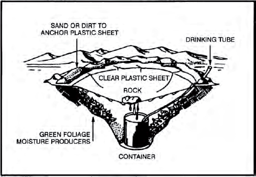 The Complete U.S. Army Survival Guide to Foraging Skills, Tactics, and Techniques _11.jpg