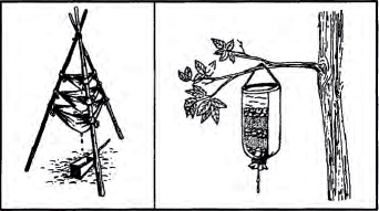 The Complete U.S. Army Survival Guide to Foraging Skills, Tactics, and Techniques _13.jpg
