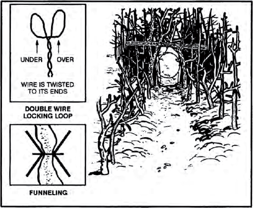 The Complete U.S. Army Survival Guide to Foraging Skills, Tactics, and Techniques _17.jpg