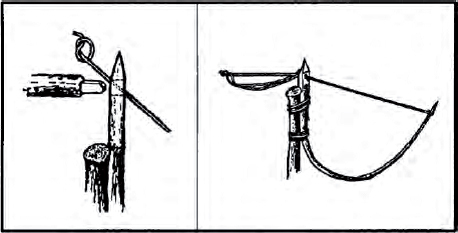 The Complete U.S. Army Survival Guide to Foraging Skills, Tactics, and Techniques _20.jpg