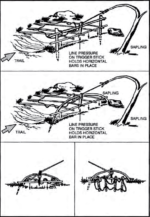 The Complete U.S. Army Survival Guide to Foraging Skills, Tactics, and Techniques _22.jpg