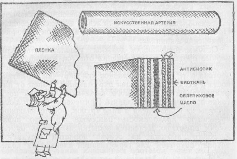 Хирургия без чудес. Очерки, воспоминания img_40.jpg