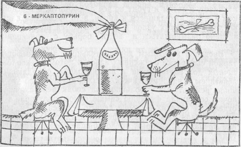 Хирургия без чудес. Очерки, воспоминания img_50.jpg