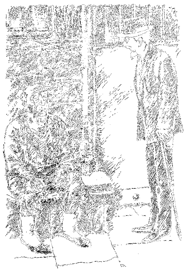 Белый конь (сборник) i_007.png
