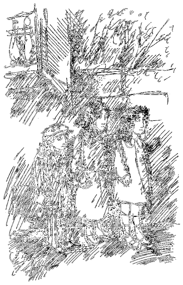Белый конь (сборник) i_016.png