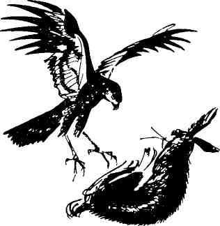 Колокольчик в тайге img_28.jpeg