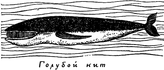 «Кто-то» на дереве i_032.png