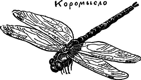 «Кто-то» на дереве i_055.png