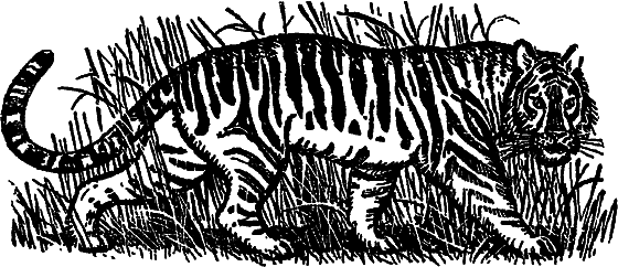 «Кто-то» на дереве i_057.png