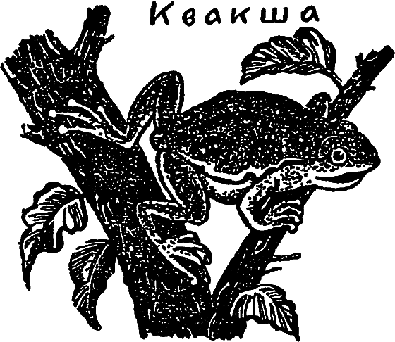 «Кто-то» на дереве i_005.png