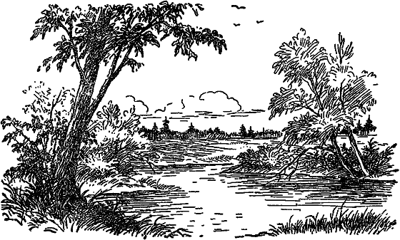 Жизнь пруда i_002.png