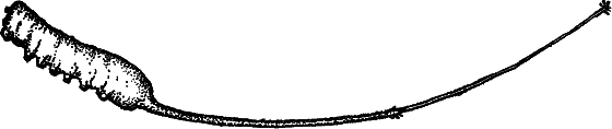 Жизнь пруда i_048.png