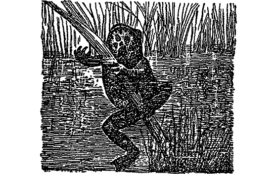 Жизнь пруда i_058.png