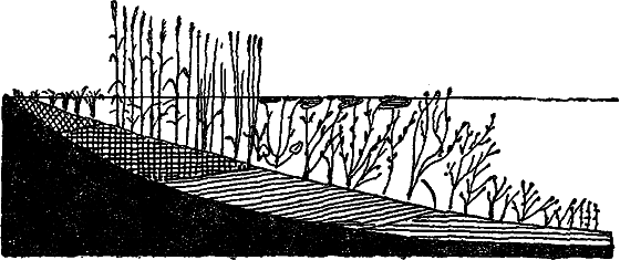 Жизнь пруда i_077.png