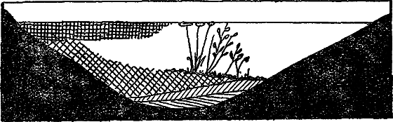 Жизнь пруда i_078.png