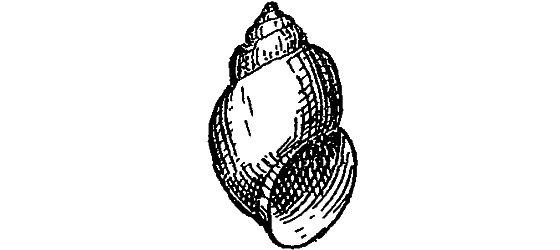 Жизнь пруда i_011.png