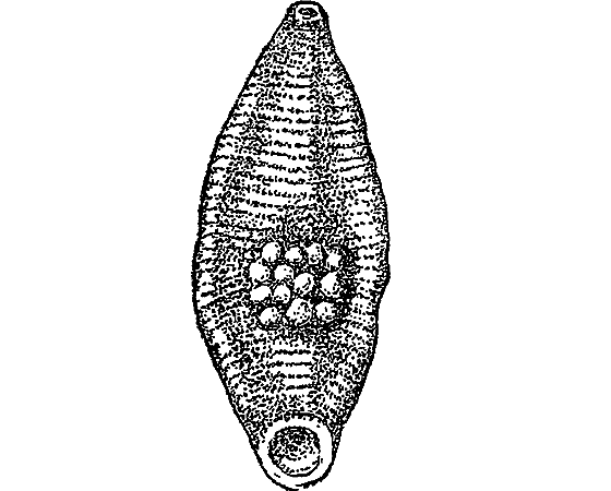 Жизнь пруда i_017.png