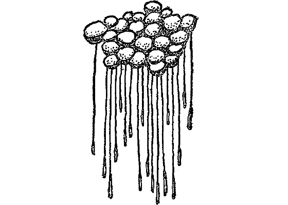 Жизнь пруда i_026.png