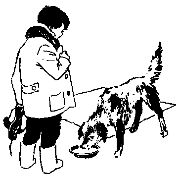 Настоящие мальчишки pic_30.png