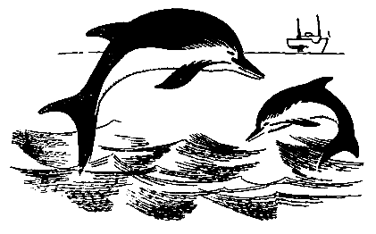 Настоящие мальчишки pic_47.png