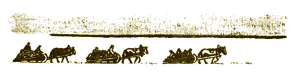 Что бывало i_013.png
