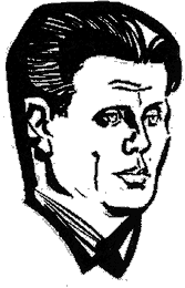 Белая ночь в окне nzh_prtrt.png