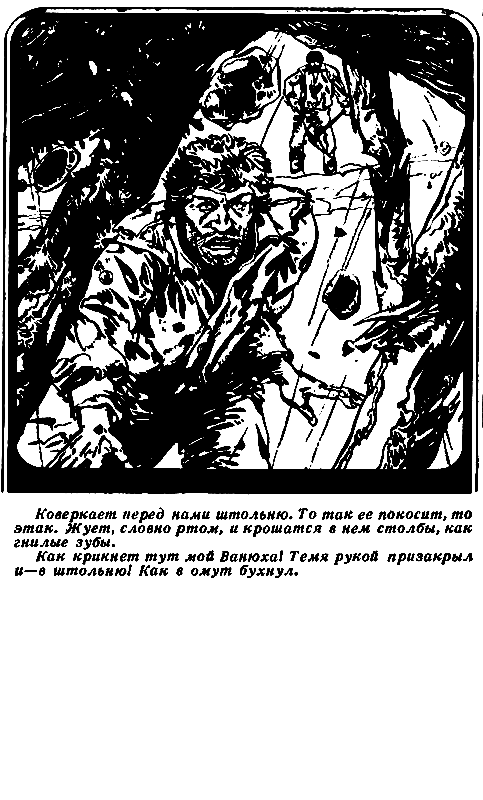Зашифрованный план (сборник) pic_8.png