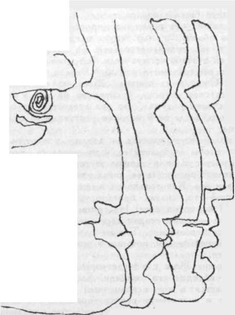 Помолвка (сборник) image20.jpg