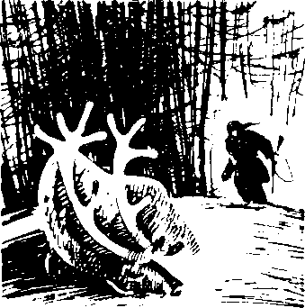 В Камчатку (сборник) i_001.png