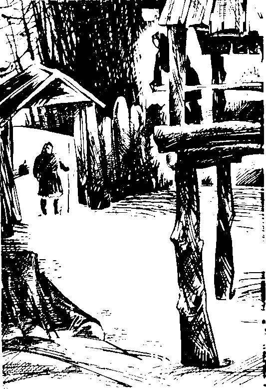В Камчатку (сборник) i_002.png