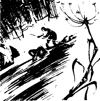 В Камчатку (сборник) i_003.png