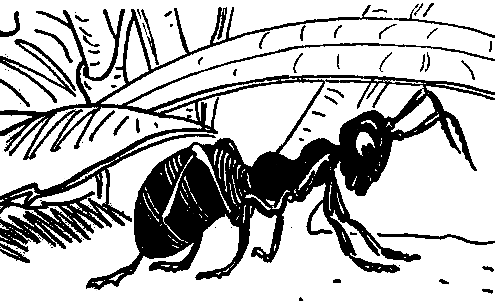 Необыкновенные приключения Галочки с волшебной палочкой (сборник) pic_7.png