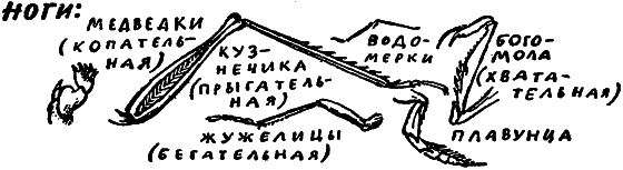 Если посмотреть вокруг i_043.png