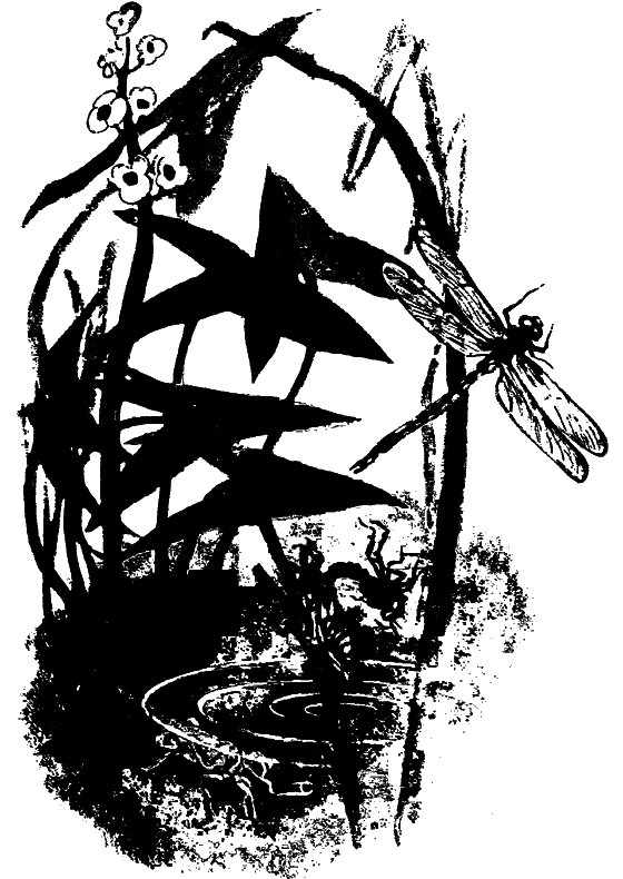 Если посмотреть вокруг i_044.png