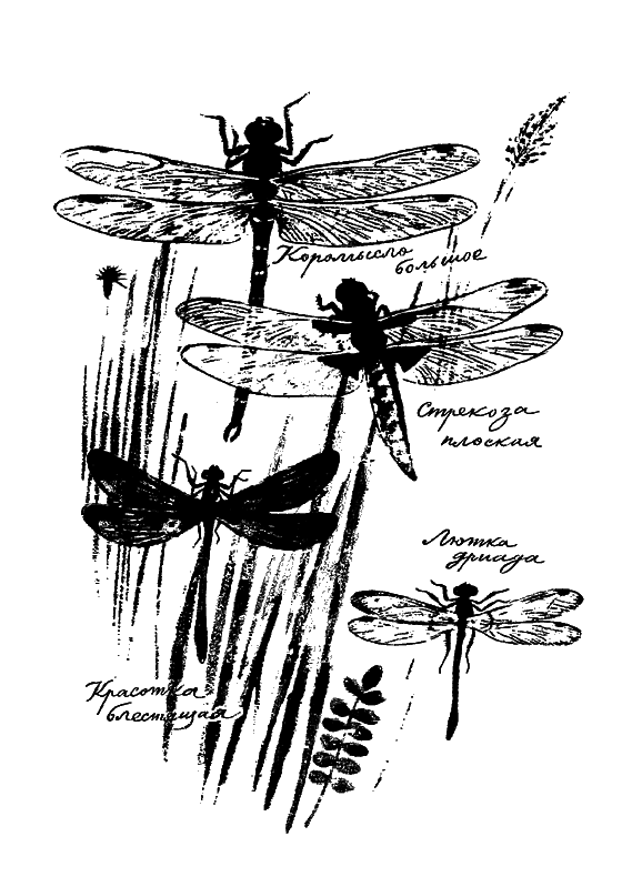 Если посмотреть вокруг i_045.png