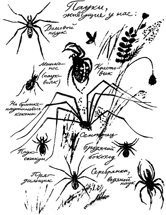 Если посмотреть вокруг i_055.png