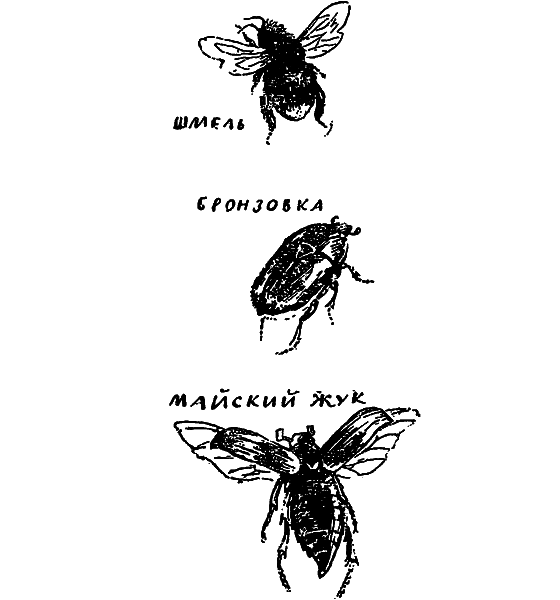 Если посмотреть вокруг i_009.png