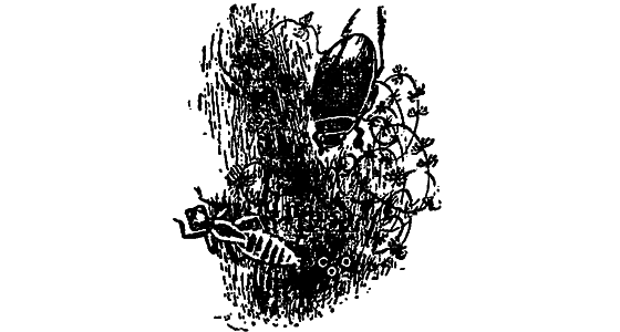 Если посмотреть вокруг i_012.png