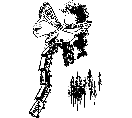Если посмотреть вокруг i_031.png