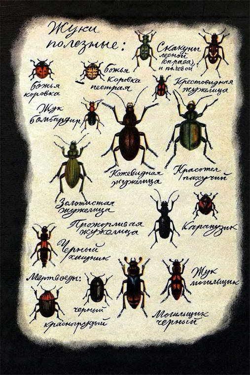 Если посмотреть вокруг i_036.jpg