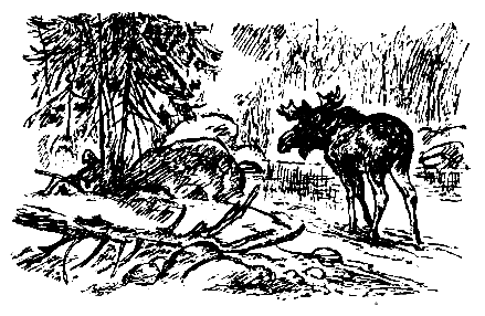 Красная ниточка (сборник) pic_7.png