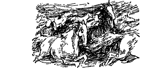 Рассказы о Чарлзе Дарвине i_034.png