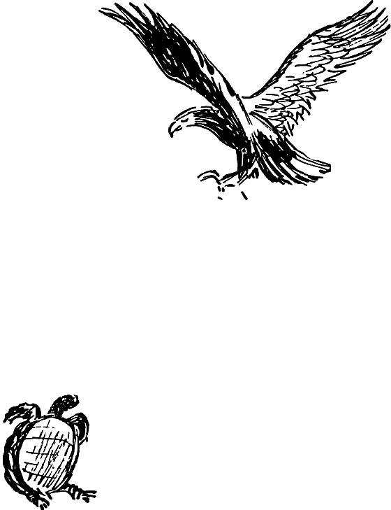 Рассказы о Чарлзе Дарвине i_046.png